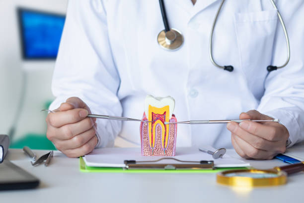 Best Emergency Root Canal Treatment in Lacon, IL